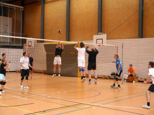 2015-Herbstvolleyballturnier