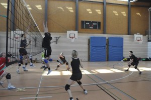 2014-03-29 Volleyballturnier