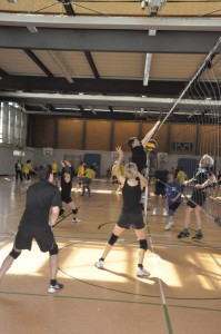 2014-03-29_Volleyballturnier_Petrusgemeinde_2014_03_28 20_02_26__DSC0439